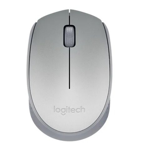 Mouse Nano Sem Fio M170 Logitech Prata (i)